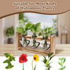 Plant Terrarium Propagation Station with 3 Heart Shaped Vases and Wooden Stand - Desktop Air Planter for Hydroponics Home Office Decor Gift for Plant Lovers
