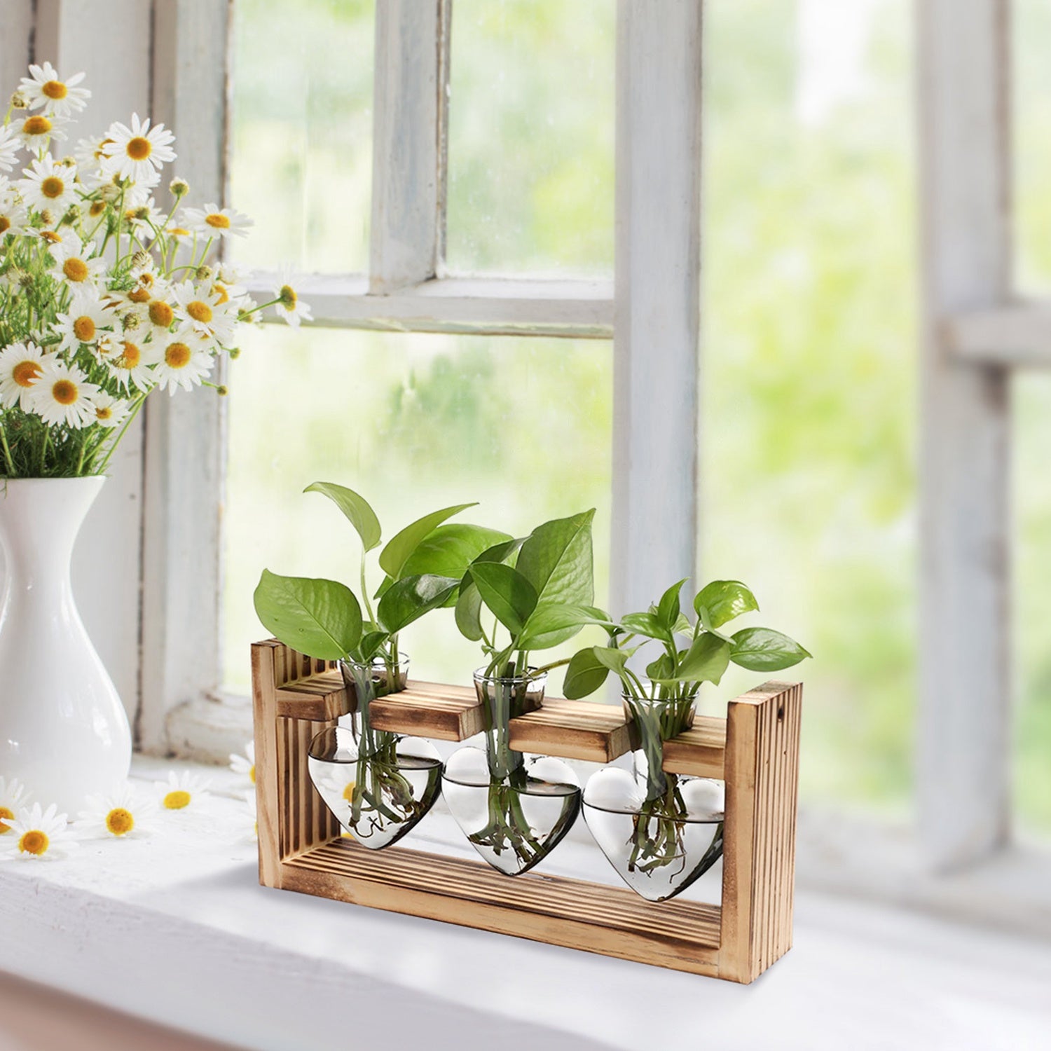 Plant Terrarium Propagation Station with 3 Heart Shaped Vases and Wooden Stand - Desktop Air Planter for Hydroponics Home Office Decor Gift for Plant Lovers