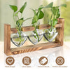 Plant Terrarium Propagation Station with 3 Heart Shaped Vases and Wooden Stand - Desktop Air Planter for Hydroponics Home Office Decor Gift for Plant Lovers