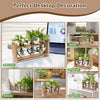 Plant Terrarium Propagation Station with 3 Heart Shaped Vases and Wooden Stand - Desktop Air Planter for Hydroponics Home Office Decor Gift for Plant Lovers